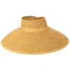Full Coverage Visor