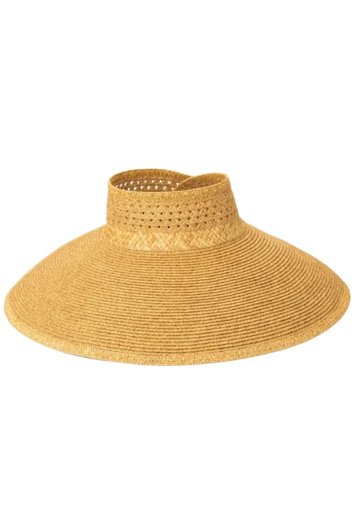 Full Coverage Visor