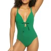 Lenora Plunge One Piece Swimsuit
