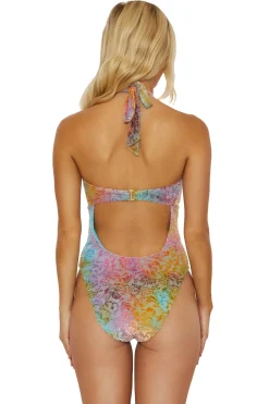 Ombre Burnout One Piece Swimsuit