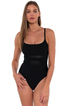 Alexia Mesh One Piece Swimsuit