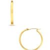 Ilavia Hoop Earring
