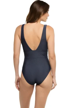 Iris Plunge One Piece Swimsuit