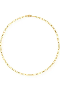 Jayden Paper Clip Chain Necklace