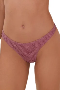 Mesh Basic Brazilian Bikini Bottom