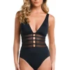 Mesh Plunge One Piece Swimsuit