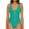 Show & Tell Plunge One Piece Swimsuit