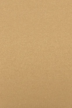 Sydney Shimmer Hipster Bottom